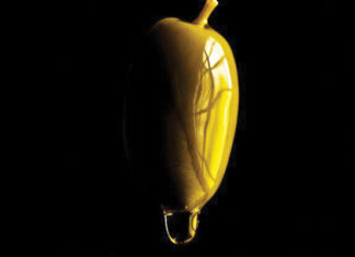 LA IMPORTANCIA DE LA REFRIGERACIÓN EN LA PRODUCCIÓN DE ACEITE DE OLIVA EXTRA VIRGEN