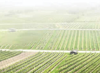 EN 2020 CHINA CONSTRUYÓ 14,000 INSTALACIONES LOGÍSTICAS DE LA CADENA DE FRÍO PARA EL SECTOR AGRÍCOLA