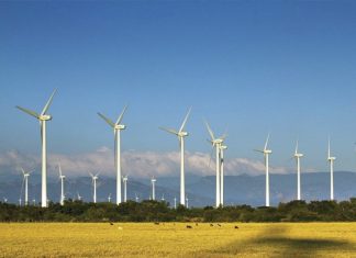 EN MÉXICO BANCO SANTANDER RESPALDA SU OBJETIVO DE NEUTRALIDAD EN CARBONO
