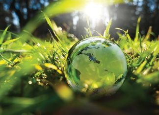 EFFICIENT ENERGY GMBH AMONG THE FIRST REFRIGERATION-INDUSTRY ENTERPRISES TO HAVE BEEN CLIMATE NEUTRAL SINCE 2020