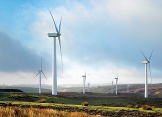 EN EL DÍA MUNDIAL DE LA TIERRA, GE IMPLEMENTA NUEVAS Y MEJORES ACCIONES A GRAN ESCALA