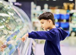 EN DINAMARCA SALLING GROUP Y DANFOSS COLABORAN CON MICROSOFT PARA REDUCIR PÉRDIDA DE ALIMENTOS Y USO DE ENERGÍA EN REFRIGERACIÓN MINORISTA