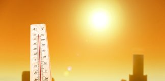 OLA DE CALOR EN MÉXICO PROVOCARÍA SEVEROS DAÑOS ECONÓMICOS