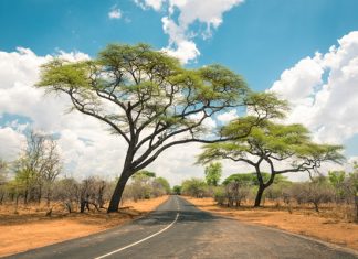 DANFOSS PIDE MAYOR ENFOQUE EN UNA INFRAESTRUCTURA DE CADENA DE FRÍO ENERGÉTICAMENTE EFICIENTE PARA ÁFRICA